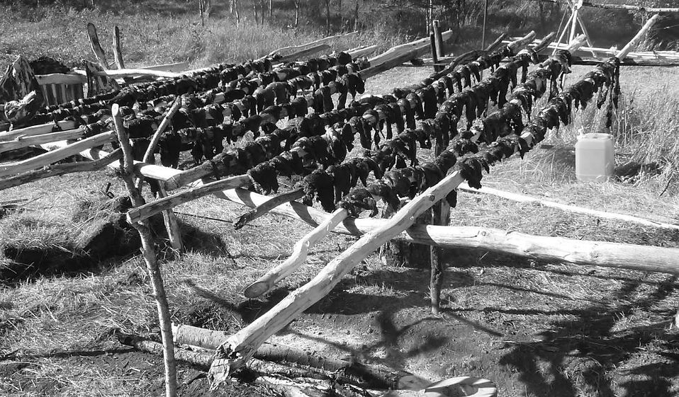 Pemmican004LargeDryingRack.jpg