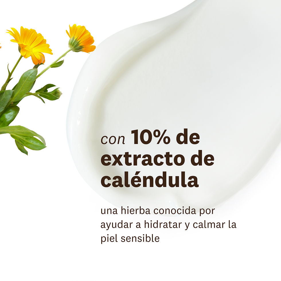 Miniatura: Calendula - Crema Esencial Coreana para Ojos 20 ml