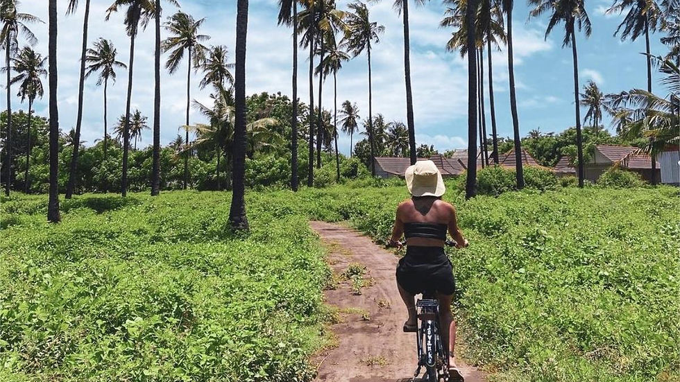 Eco-friendly travel and villas in Gili Air Lombok – Musa Villas Gili Air