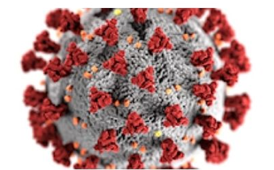 How has Wayside responded to COVID-19?