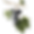 12.png