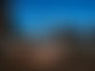 A Magical Wedding Celebration at Maison Albion