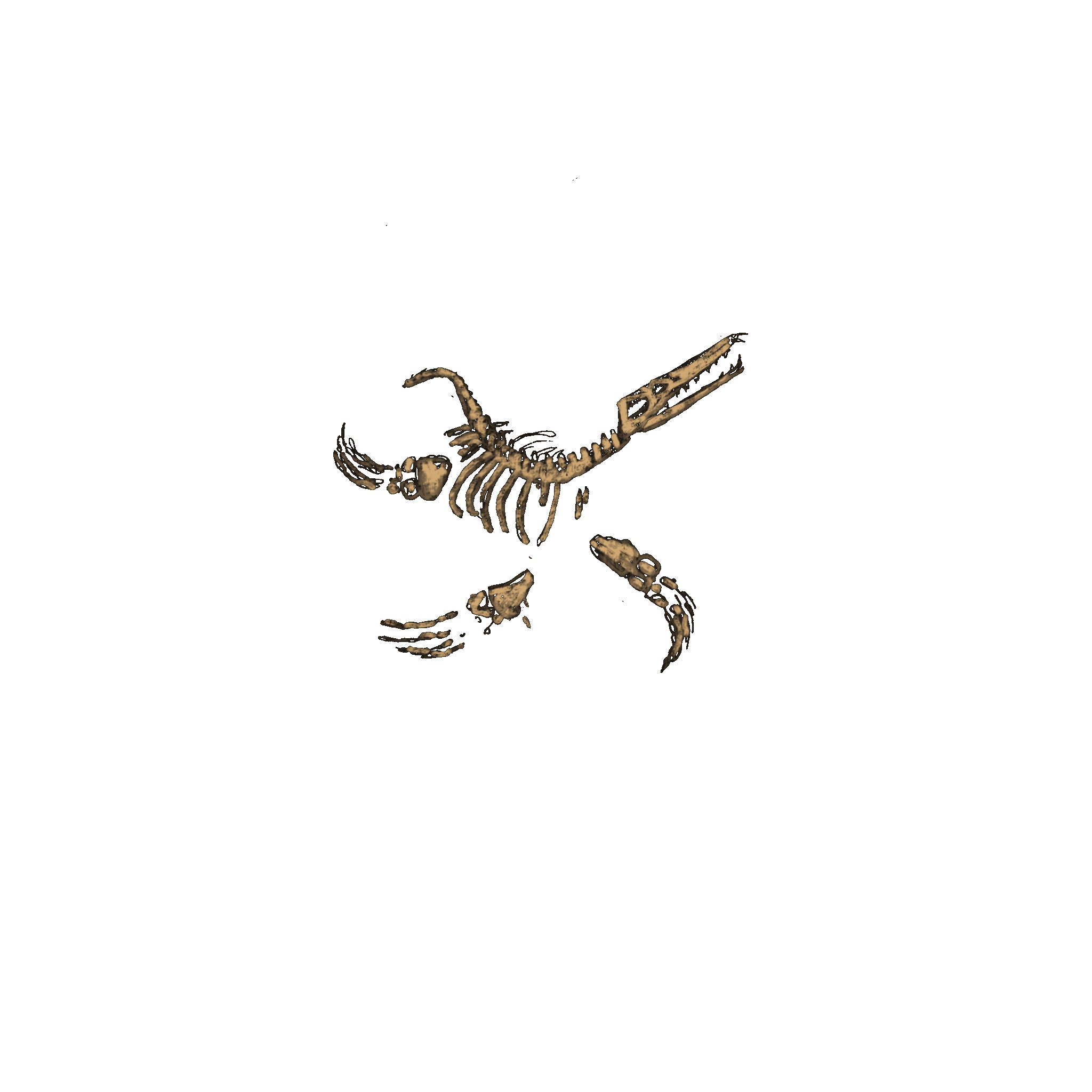 Illustration_sans_titre.gif
