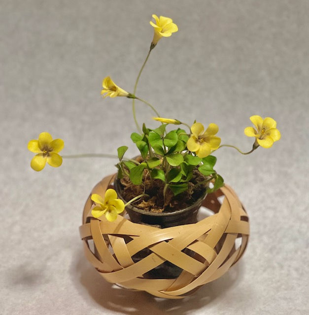 体験教室「手なし小花かご」/Workshop for Small Flower Basket without Handle