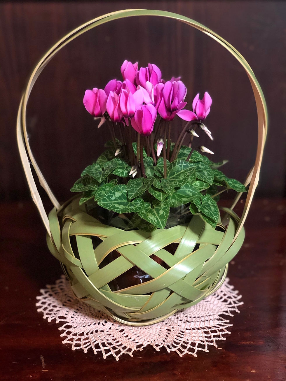 体験教室「小花入れかご」/竹工芸展示販売/Workshop for Small Flower Basket and Exhibition/Selling of Bamboo Crafts