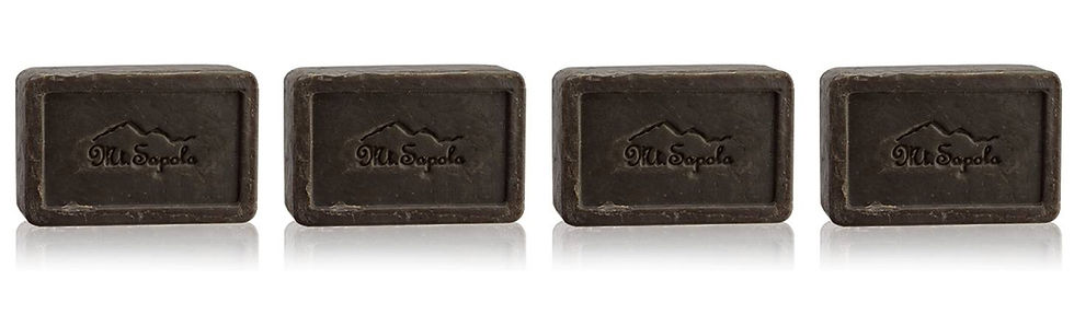 Mt.Sapola Charcoal Natural Handmade Soap 4.23 oz. (Pack of 4)