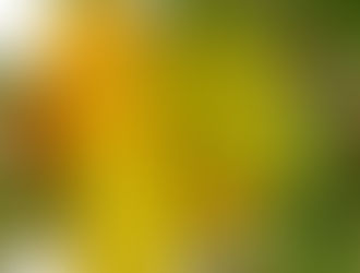 Star Fruit Extract – Natural Skin Care Secret from Asia