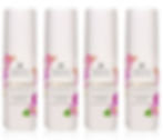 ORIENTAL PRINCESS Princess Garden Pink Blossom Deodorant 2.36 Fl Oz. Pack of 4