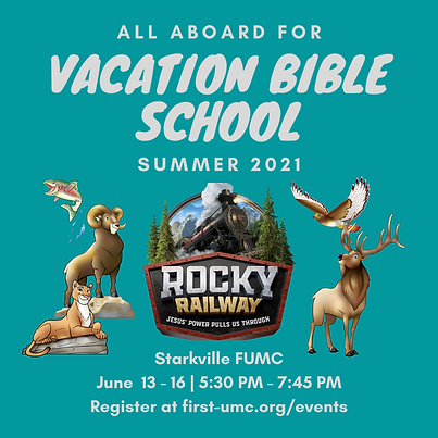 VBS 2021 Info Graphic (1).png