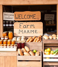 farm-market-CP0jIVGw.jpg