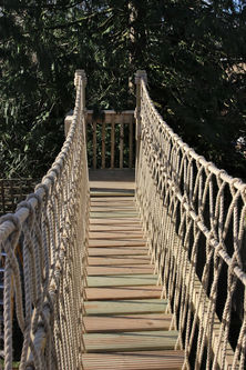 Rope Bridge High.JPG