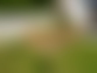 Errichten eines Hochbeetes - Tuffstein, ocker