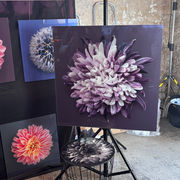 Designfestival Heidelberg/Ladenburg 28.02.-01.03.26