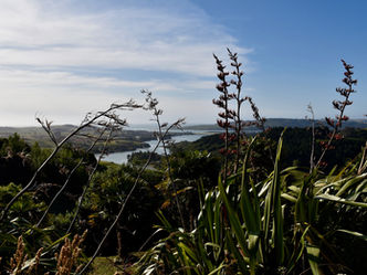 25/11/19 - 01/01/20 : Life in New Zealand