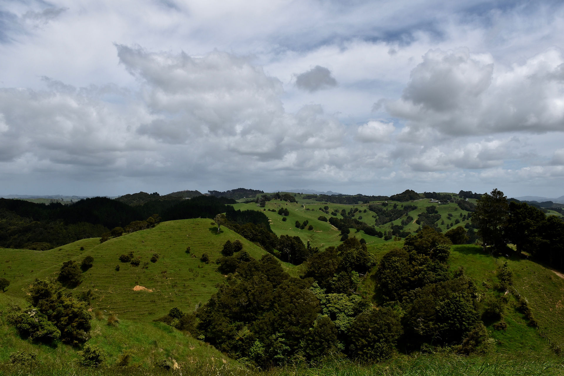 DSC_0656