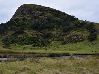 Road Trip Northland (Part 2)