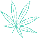 weedyland, cbd fleurs,cbd fleur,cbd france cbd shop ,resine cbd