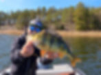 Fishing guest proudly displaying a trophy European perch aboard a boat in Åland.
