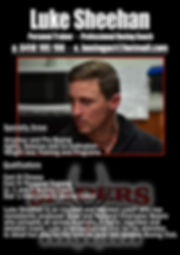 Luke Sheehan - Spiders.jpeg