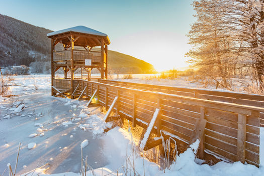 winter_im_bleistaetter_moor_-_aussichtsturm_2_(f)_Simone-Attisani_(c)_Region-Villach-Touri