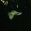 Thumbnail: Metal yellow lace