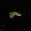 Thumbnail: Metal yellow lace