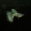 Thumbnail: Metal Cobra