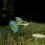Thumbnail: Metal Blue Grass