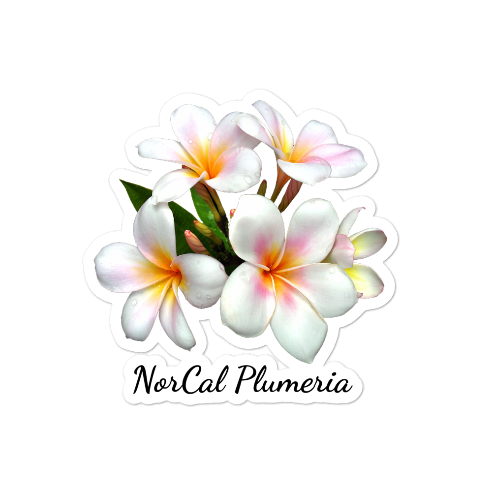 4"x4" NorCal Plumeria Bubble-free stickers