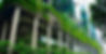 UPPER PICKET_edited.jpg