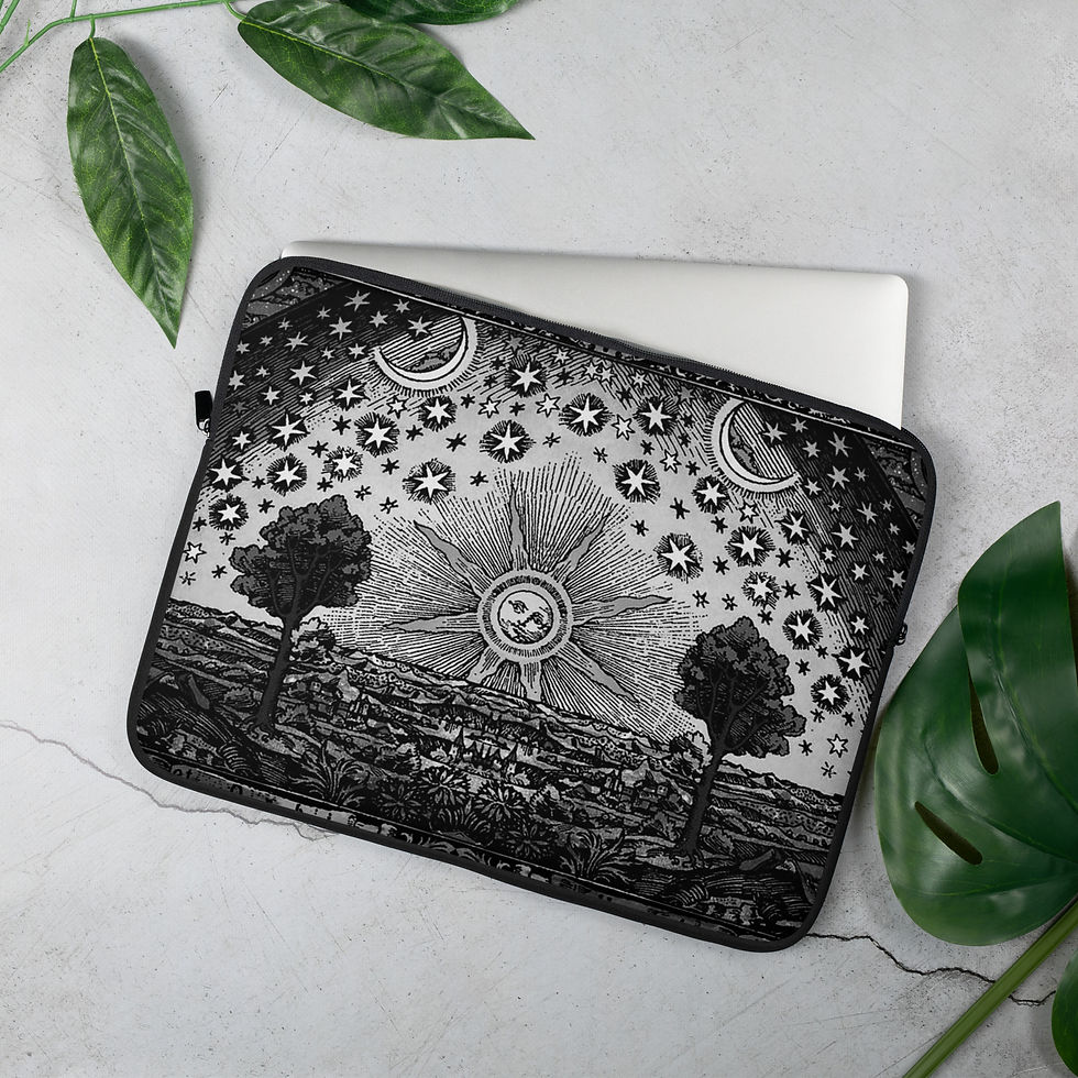 Flammarion Laptop Sleeve