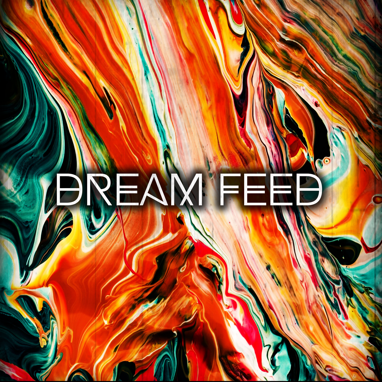 Dream Feed Denver Co