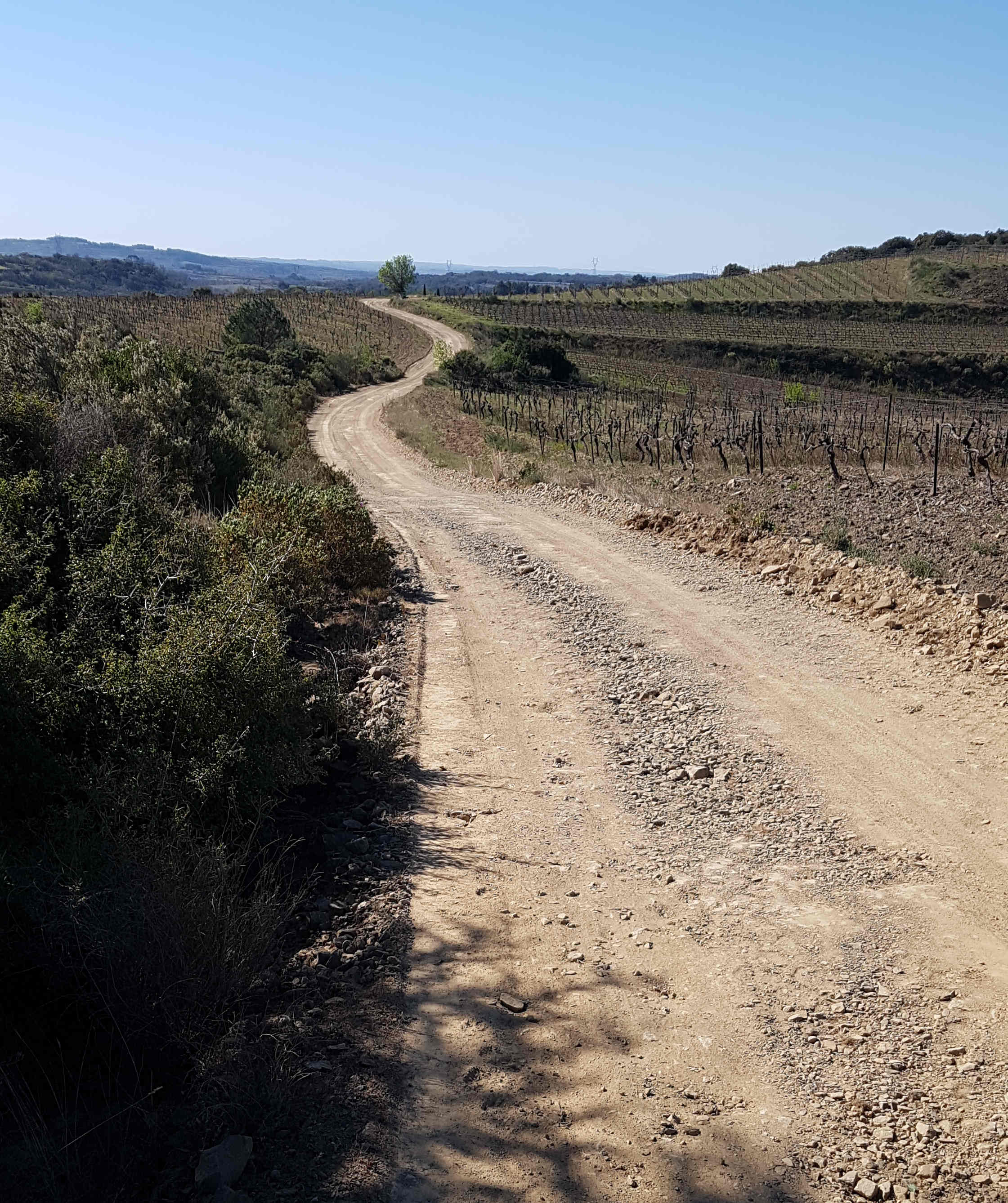 Travaux sur les chemins