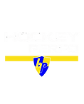 hockey perfo.png