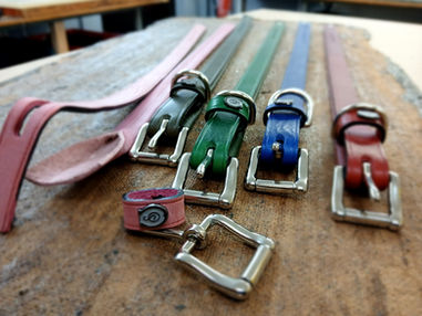 Hundehalsbänder verschiedene Farben