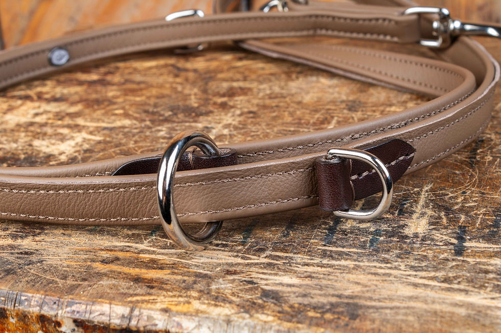Miniaturbild: Hundeleine aus Leder in "cappuccino" und braun. Silberfarbenen Beschläge. Linke Warenseite