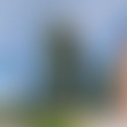 INVESTIMENTI IN IMMOBILI IN TEMPO DI INFLAZIONE