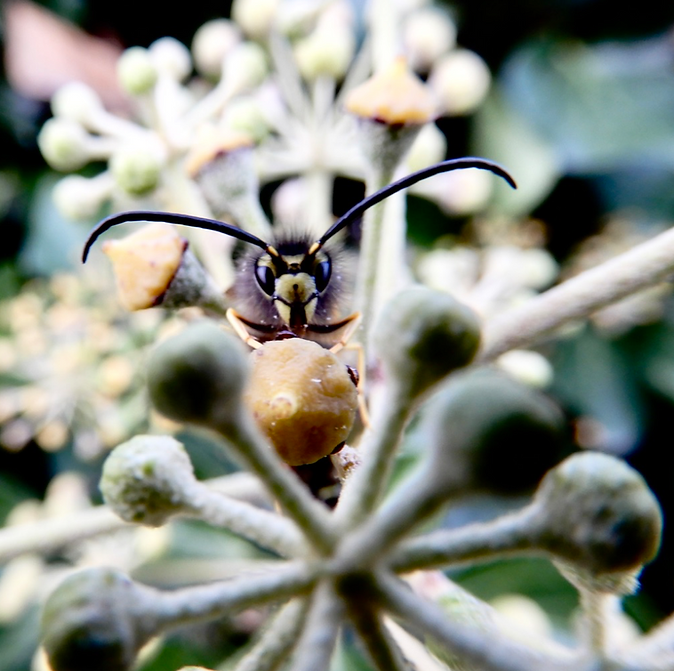 Bildschirmfoto 2019-01-25 um 08.59.19.pn