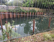 Westfield Road.jpg