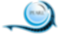 PEARL Logo (White).png