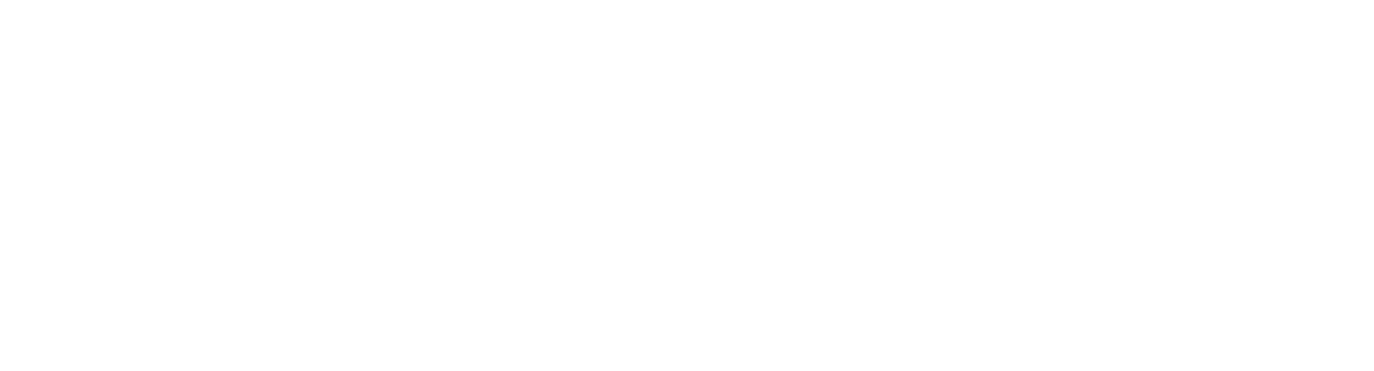 Checkmyfile Logo White.png