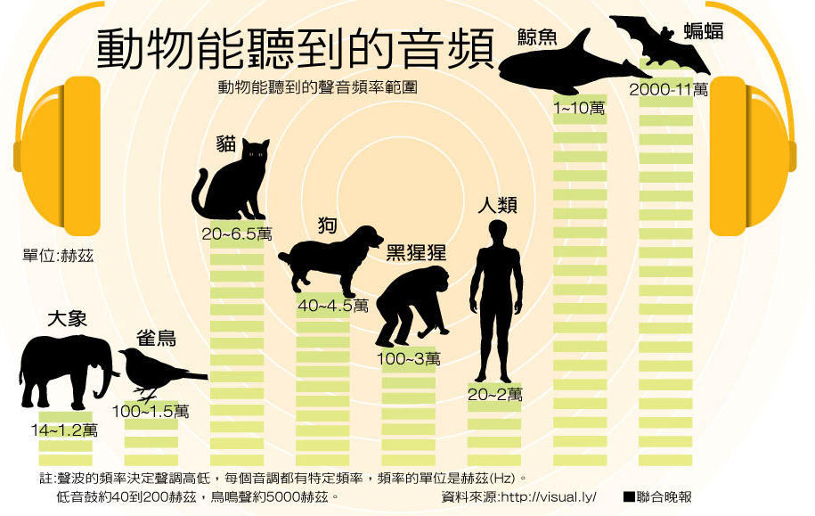 動物音頻.jpg