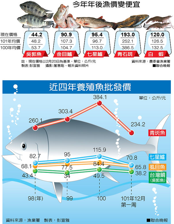 魚價格.jpg