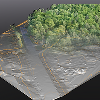 Ground surface and vegetation classification of an aerial LiDAR point cloud.