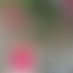 Romancing Udaipur: A Tale in Time 