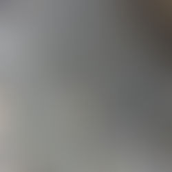 The flowers whisper as they let go of the branches 