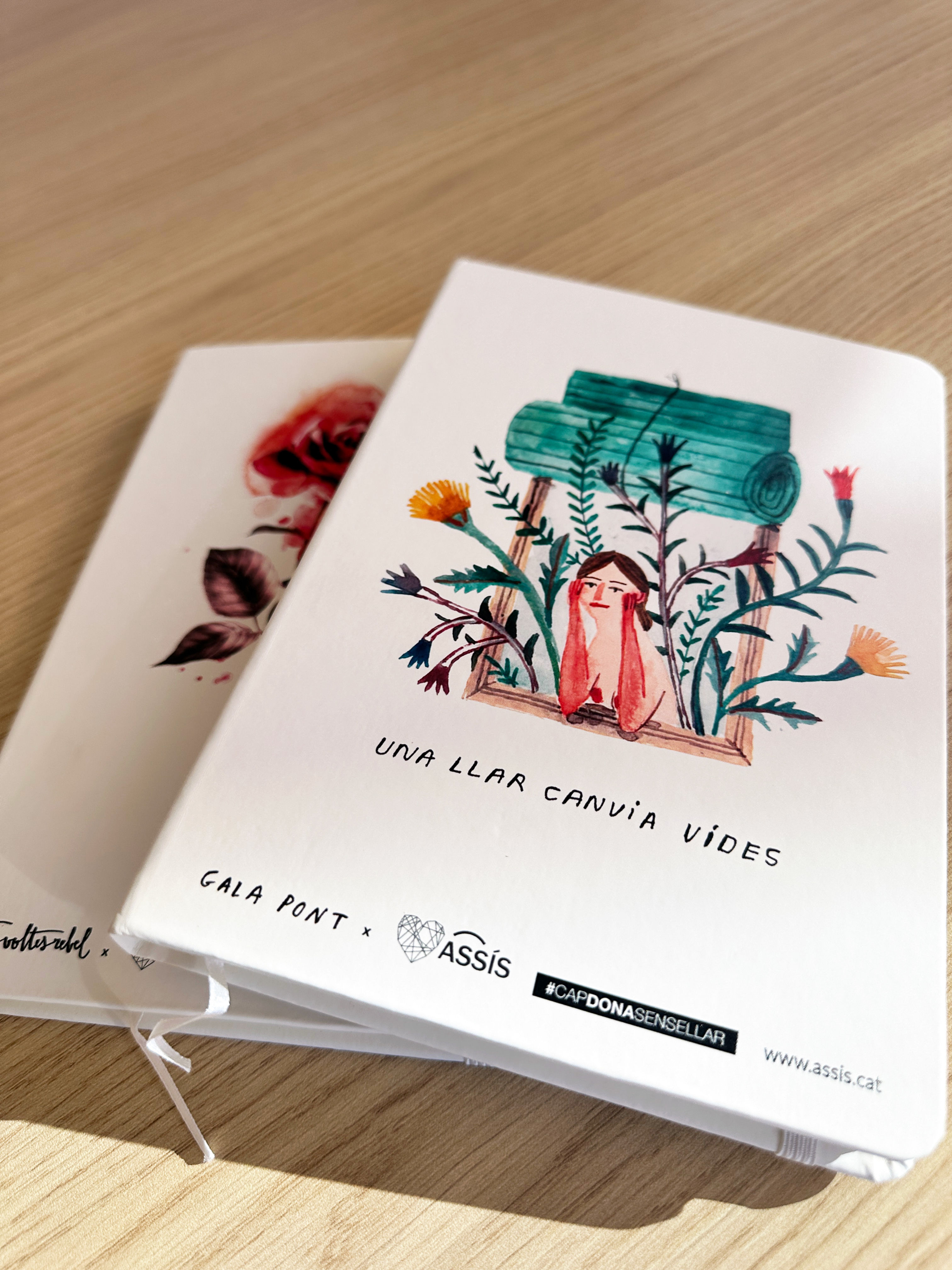 Llibreta Finestra oberta