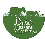 BPVF logo