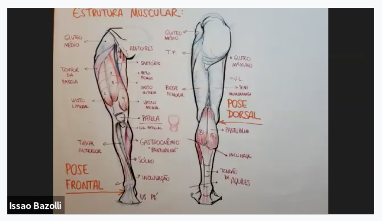 Miniatura: AULA 05: Pernas - estrutura óssea & muscular