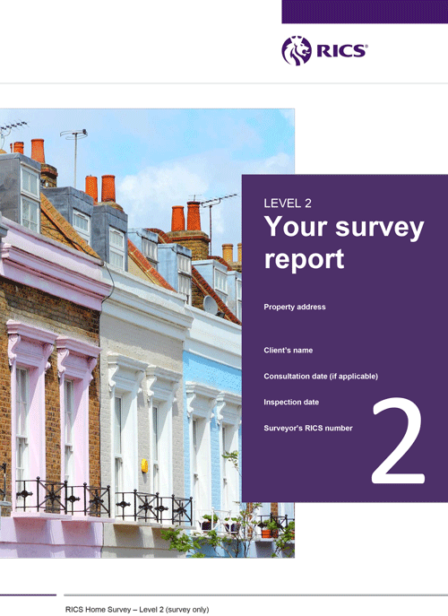 Sample Homebuyers Report Level 2